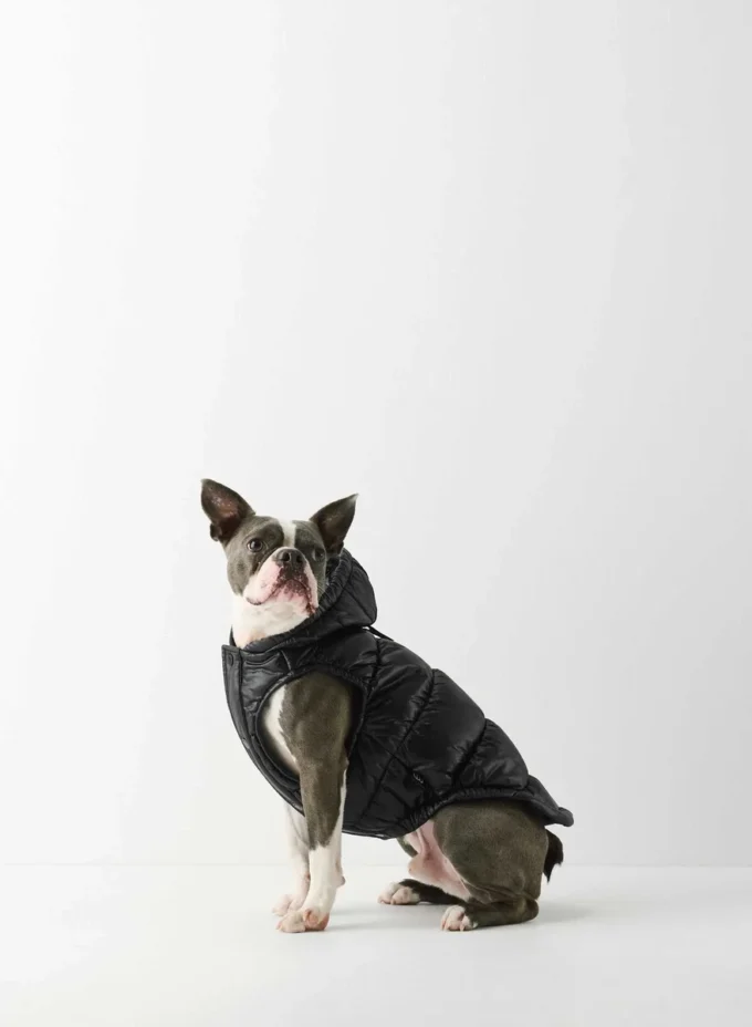 The Super Ruff Puff™ – Hi-Gloss The Super Ruff Puff™ – Hi-Gloss